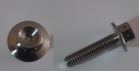 flens bout M6x25 (8mm kop, 1mm gaatjes in bloem vorm)