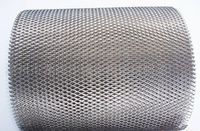 Mesh  250x250x1mm, 10x5mm holes